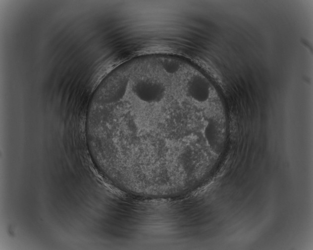 X0000097510937200803201612