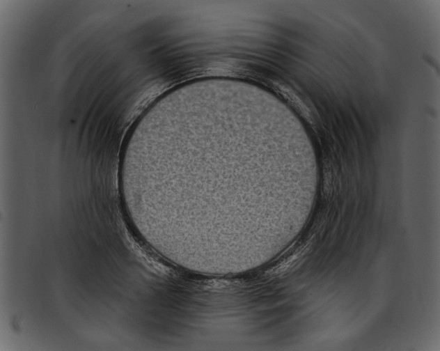 X0000097510938200803201612