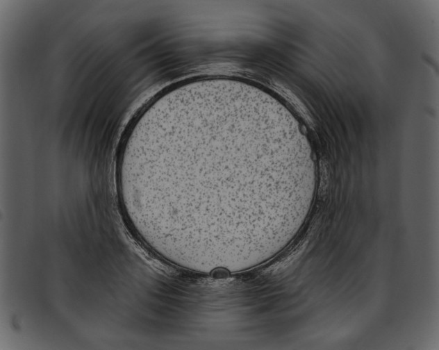 X0000097510939200803201612