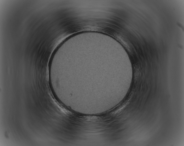 X0000097510940200803201612
