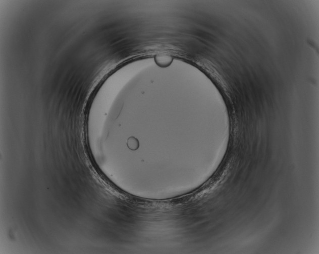 X0000097510941200803201612
