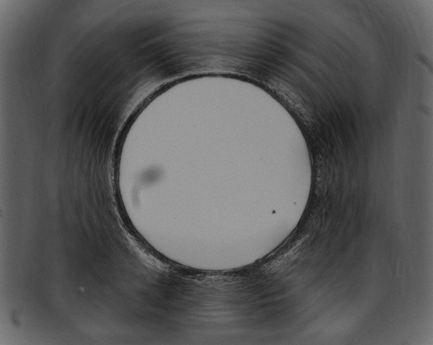 X0000097510942200803201612