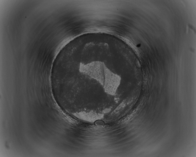 X0000097510943200803201612