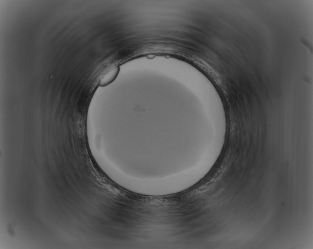 X0000097510945200803201612