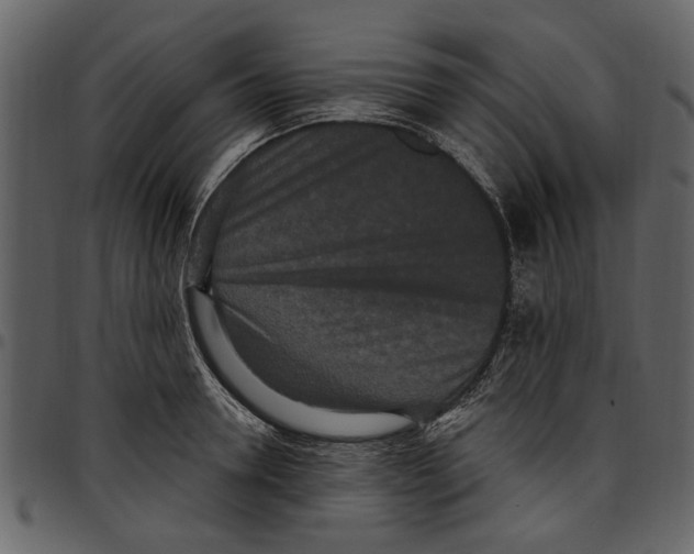 X0000097510946200803201612
