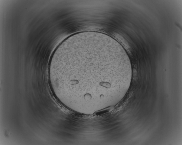 X0000097510948200803201612
