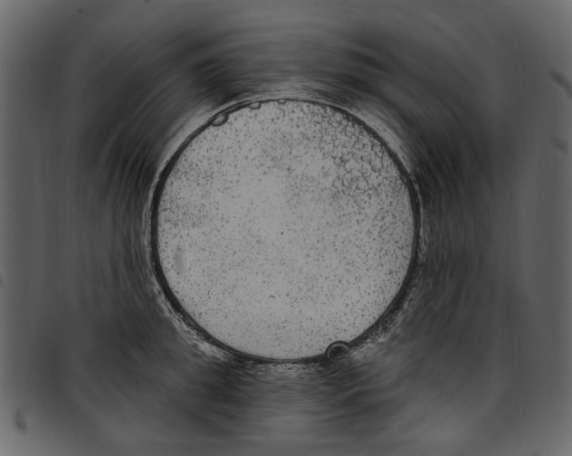 X0000097510949200803201612