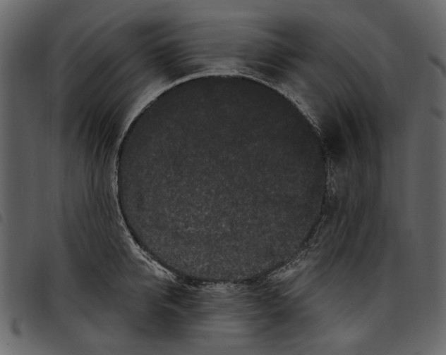 X0000097510950200803201612