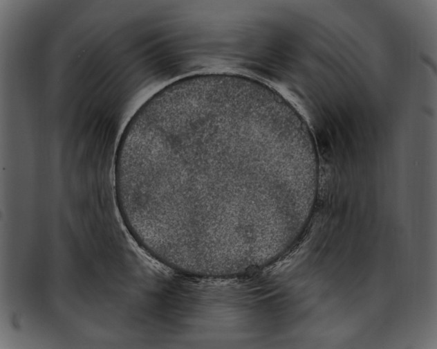 X0000097510951200803201612