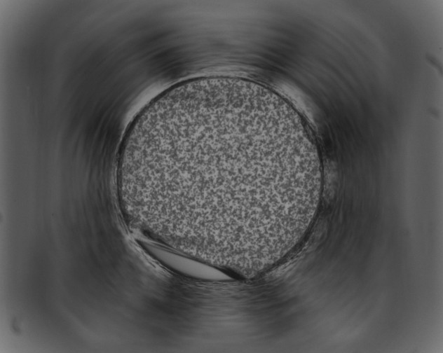 X0000097510952200803201612