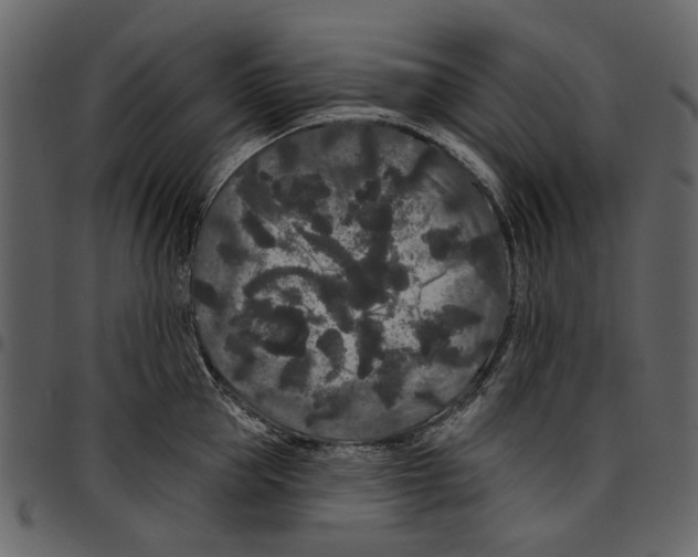 X0000097510953200803201612