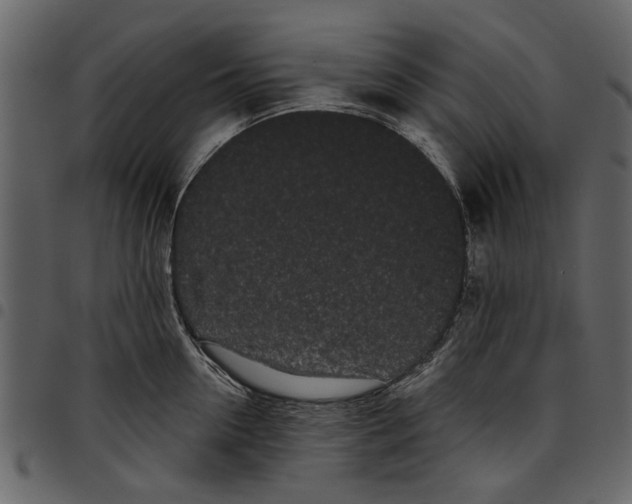X0000097510954200803201612