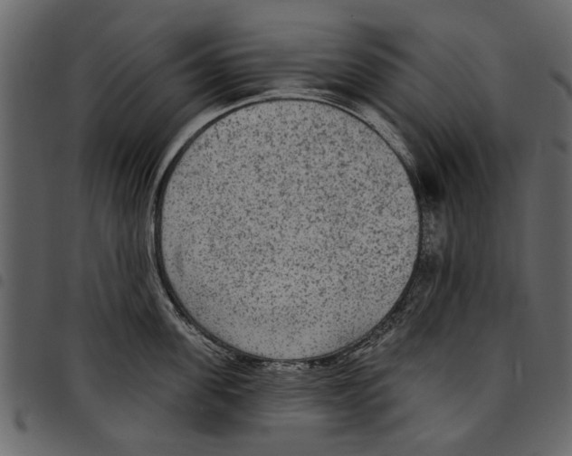 X0000097510955200803201612