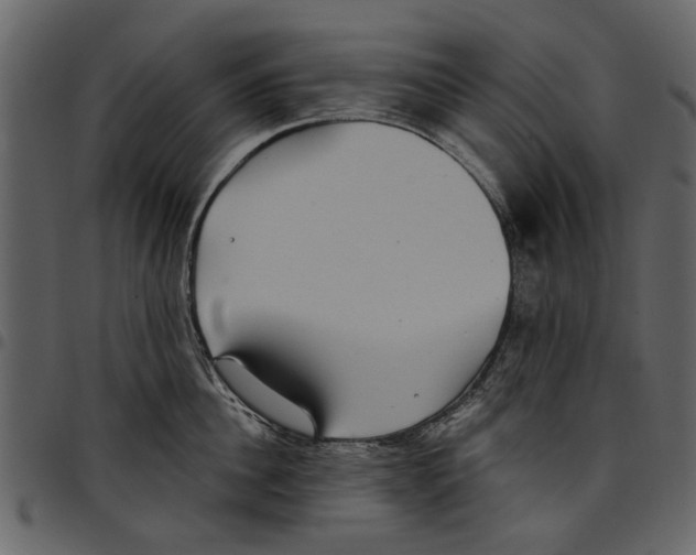 X0000097510956200803201612