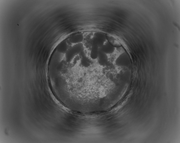 X0000097510957200803201612