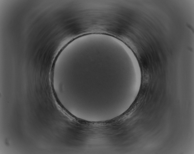 X0000097510958200803201612