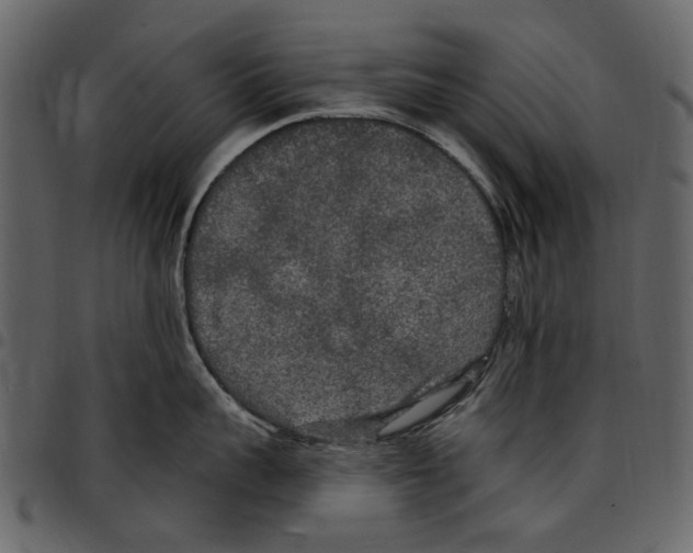 X0000097510959200803201612