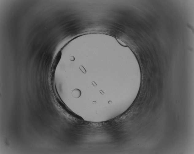 X0000097510960200803201612