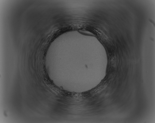 X0000097510961200803201612