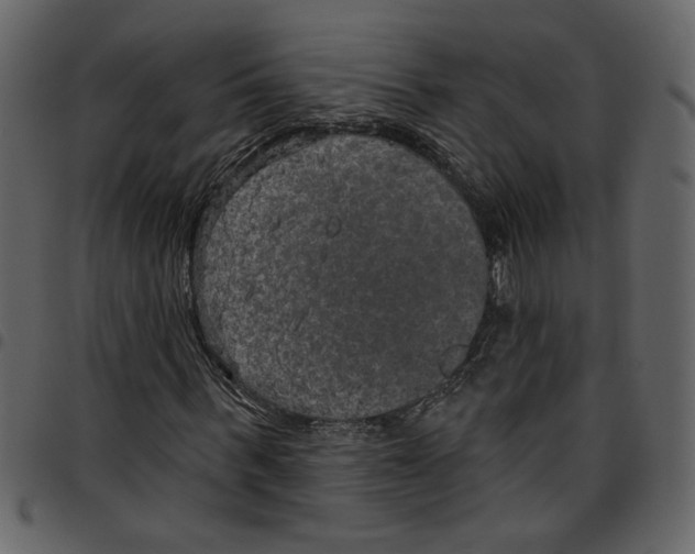 X0000097510963200803201612