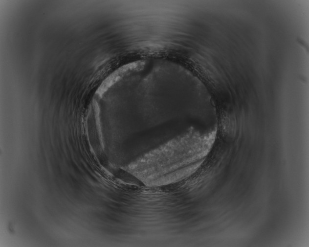 X0000097510964200803201612