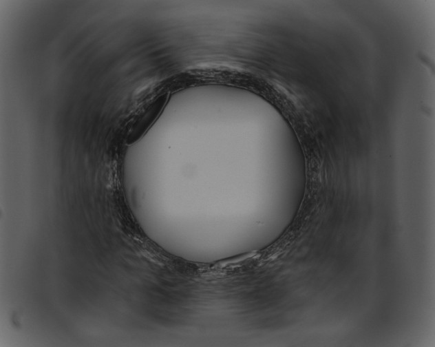 X0000097510965200803201612