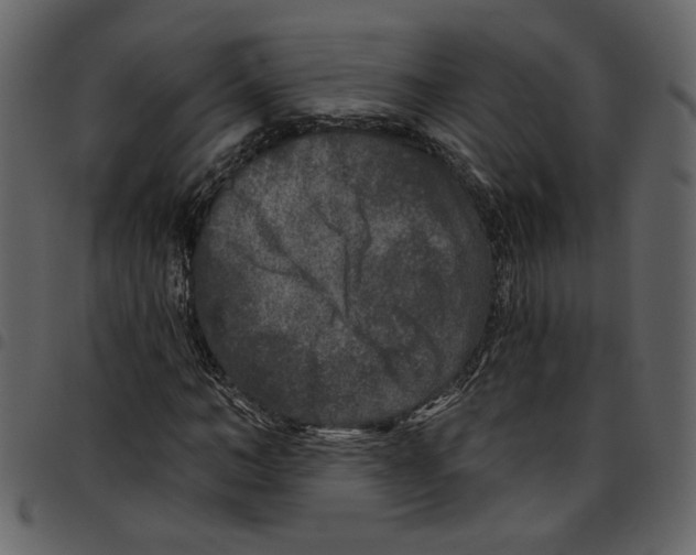 X0000097510966200803201612