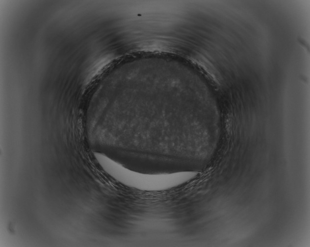 X0000097510968200803201612