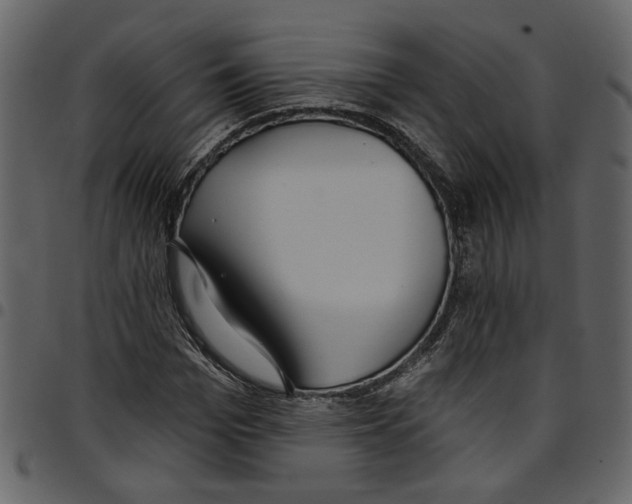X0000097510969200803201612