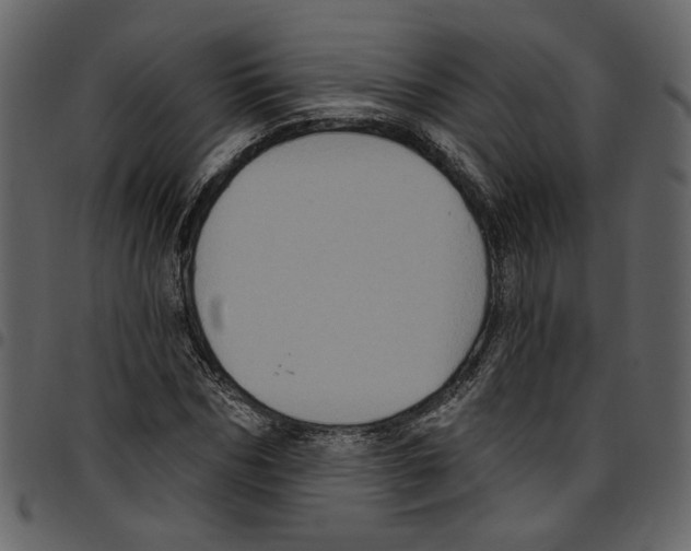 X0000097510970200803201612