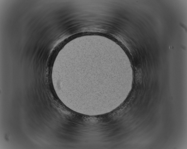 X0000097510971200803201612