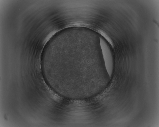 X0000097510972200803201612