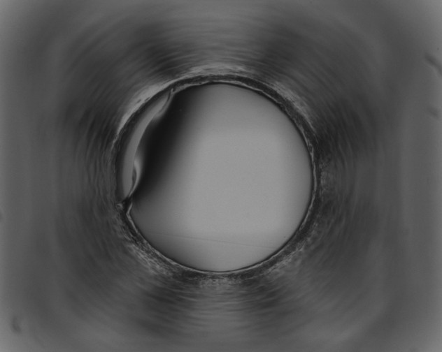X0000097510973200803201612