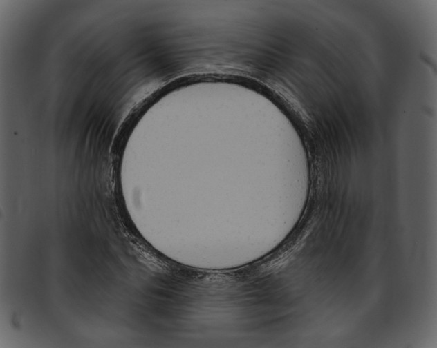 X0000097510974200803201612