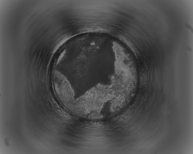 X0000097510975200803201612