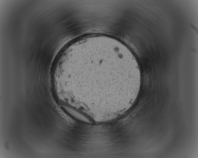 X0000097510976200803201612