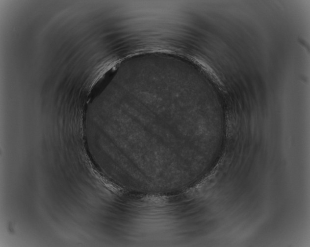 X0000097510977200803201612