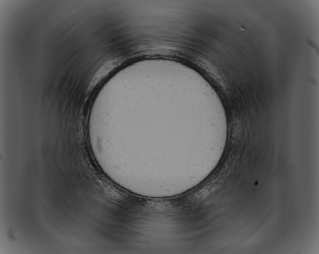 X0000097510978200803201612