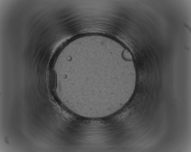 X0000097510979200803201612