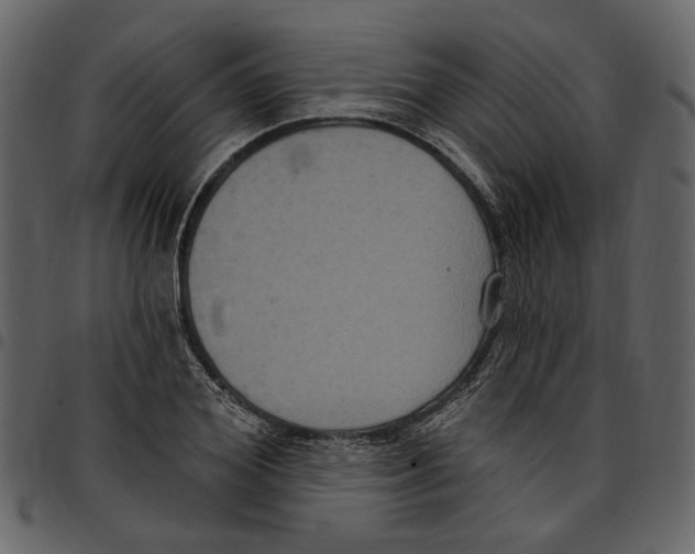 X0000097510980200803201611