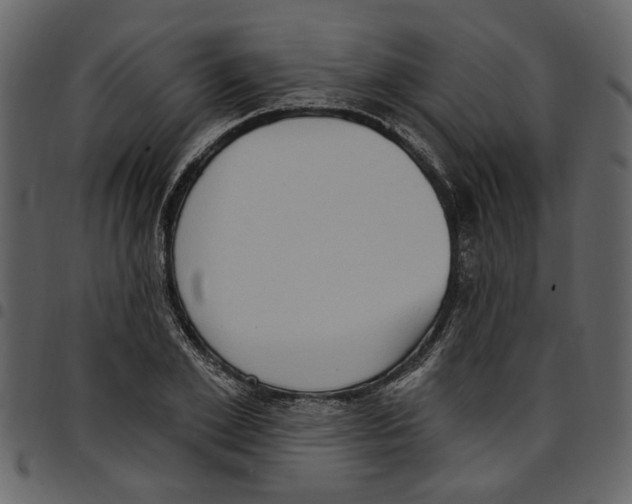 X0000097510981200803201611