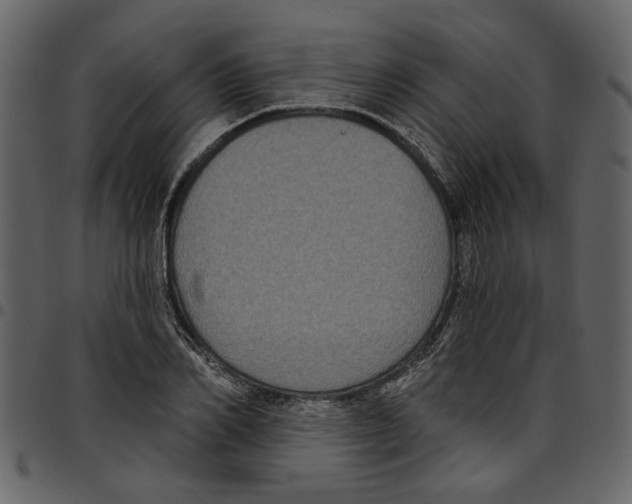 X0000097510982200803201611