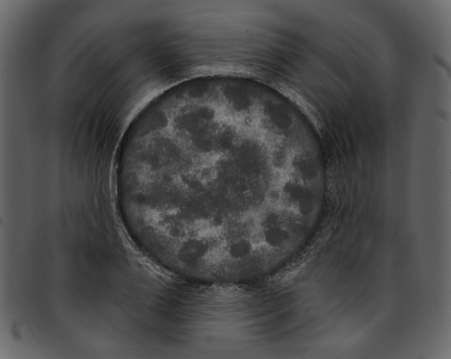 X0000097510983200803201611