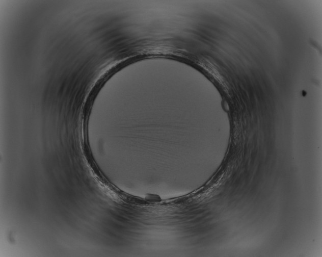 X0000097510984200803201611