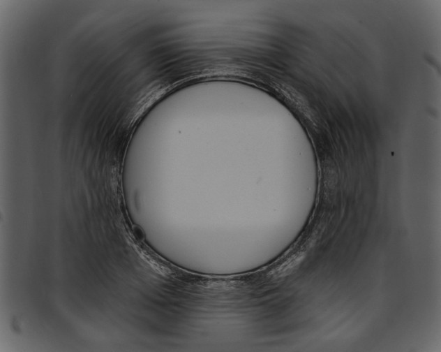 X0000097510985200803201611