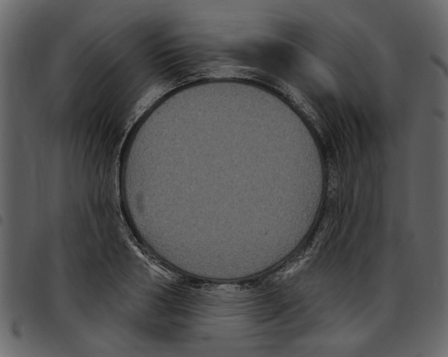 X0000097510986200803201611