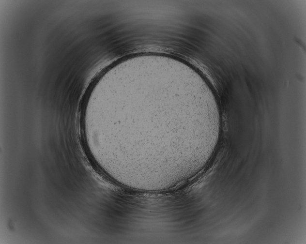 X0000097510987200803201611
