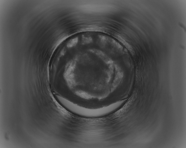 X0000097510988200803201611