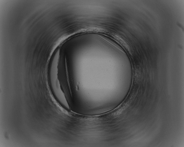 X0000097510989200803201611