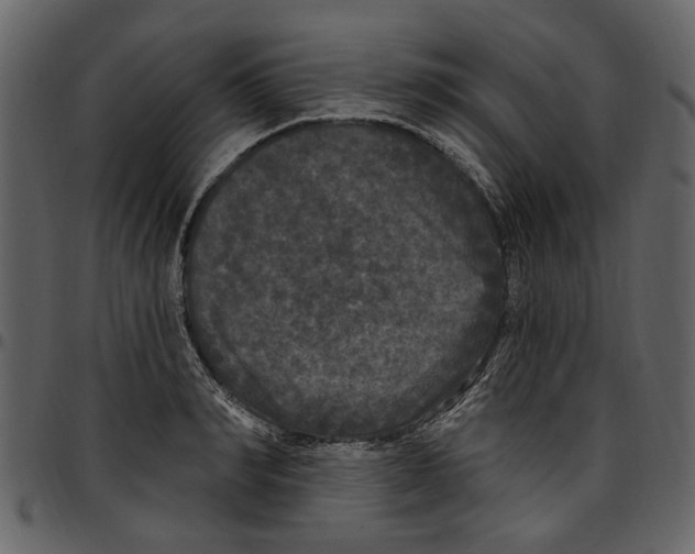 X0000097510990200803201611